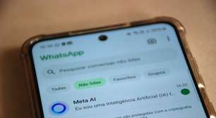 Meta AI no WhatsApp vai usar seus dados para treinar robôs?