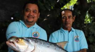 Peixe 'fantasma' é visto no Camboja anos após última aparição em 2005