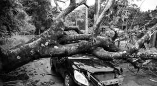 Temporal no interior de SP provoca enchentes, derruba muro, poste, árvore e mata quatro pessoas