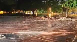 Chuva em Goiânia: Bombeiros foram acionados para atender 14 ocorrências de alagamentos