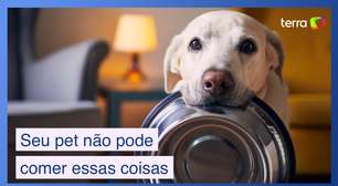 Coisas que seu pet não pode comer (e você está dando pra ele mesmo assim)