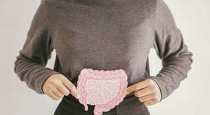 Tamanho de um ônibus escolar e mais: 6 curiosidades sobre o sistema gastrointestinal