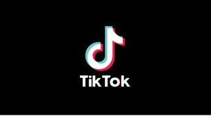 TikTok: usuários poderão pré-salvar álbuns inteiros na plataforma