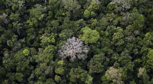 Subfinanciadas, mulheres indígenas ocupam linha de frente da proteção ambiental