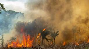 COP-29: Especialistas classificam nova meta climática do Brasil como pouco ambiciosa