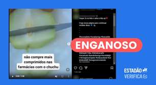 Vídeo engana ao afirmar que suco de chuchu elimina dores e colesterol alto em minutos