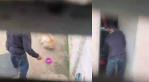 Homem é filmado agredindo cachorro com ferramenta de carro no interior de São Paulo