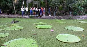 Como é o Museu da Amazônia, que vai receber visita de Biden? Veja vídeo