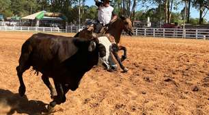 Rodeio e Festa Campeira de Guaíba terá a maior premiação da história neste sábado