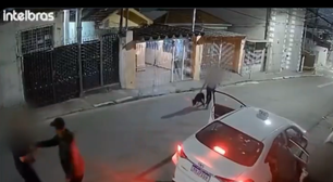 Pitbull salva família de assalto na zona leste de SP; veja vídeo