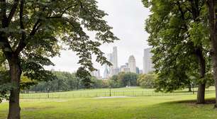 Conheça a cidade do interior de São Paulo, famosa por suas belas orquídeas e cultura!