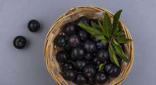 Pão com casca de jabuticaba pode ser uma nova solução para controlar a diabetes