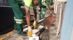 Cata-Tranqueira passará por 13 bairros de Mogi das Cruzes neste sábado; veja quais