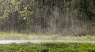 Chuva e frio dominam o tempo no Brasil nos próximos dias