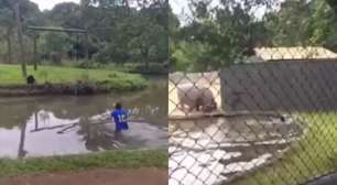 PR: Homem é detido após invadir espaços de macacos e hipopótamos em zoológico; assista