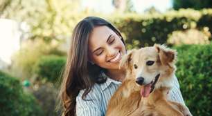 Veja como proteger seu animal dos riscos de envenenamento