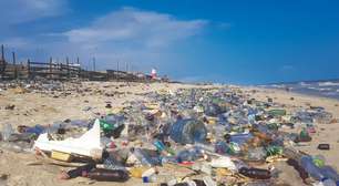 'Já tirei até Peppa Pig de estômago de jacaré', diz biólogo sobre impacto do lixo na vida de animais selvagens