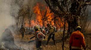 Medida provisória flexibiliza transferência de recursos para combate a incêndios florestais