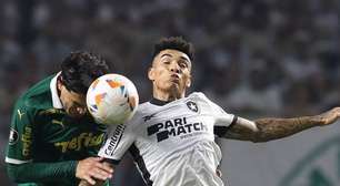 Palmeiras e Botafogo estão definidos para final antecipada do Brasileirão