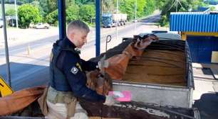 Motorista de carreta é preso com mais de 100 quilos de cocaína e munições de fuzil