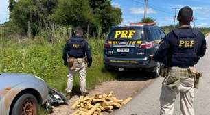 PRF apreende 50 kg de maconha após perseguição e colisão em Bagé