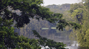 "Fortalezas de conservação": Novo conjunto de direitos busca acabar com abusos de povos originários em áreas de proteção ambiental