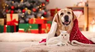 8 presentes de Natal criativos para os animais