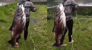 Pescador viraliza com peixe gigante capturado na Represa do Passaúna, na Grande Curitiba; vídeo