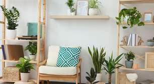 7 plantas para ter em apartamento