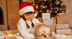 Pets são presente de Natal? Médica veterinária propõe reflexões