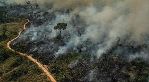 Secas históricas, enchentes e furacões: planeta viveu intensificação de fenômenos extremos em 2024