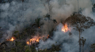 Amazônia bate recorde de queimadas em 2024; Pará registra maior focos de incêndio