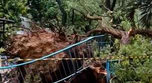 Fortes chuvas causam queda de árvore no Humaitá, Zona Sul do Rio; veja