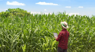 Como uma gestão eficiente pode tornar o agronegócio brasileiro mais competitivo?