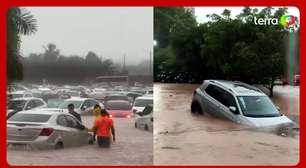 Temporal causa alagamentos e deixa carros submersos em parque aquático no interior de SP