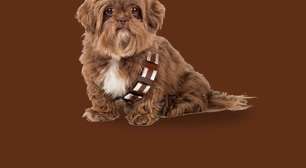 12 nomes de personagens de Star Wars para cachorro