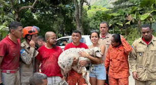 Anitta chora ao reencontrar cachorro que sumiu no Natal; pet se escondeu embaixo da nova mansão por medo dos fogos