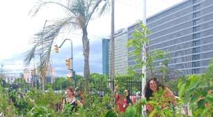 Porto Alegre cria Microfloresta Urbana com 300 mudas nativas no pátio do Foro Central