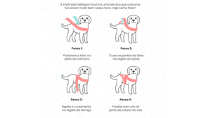 Essa técnica pouco conhecida vai ajudar a deixar seu cachorro mais confortável durante a queima de fogos do Réveillon