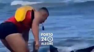 VÍDEO: Tubarão encalha na Praia do Cassino e assusta banhistas