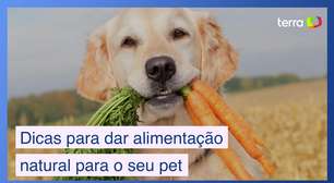 Dicas práticas para uma alimentação natural de seu pet