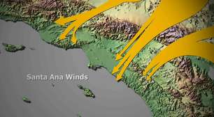 Ecologista americano explica o que são e como os 'Ventos de Santa Ana' alimentaram os incêndios mortais em Los Angeles