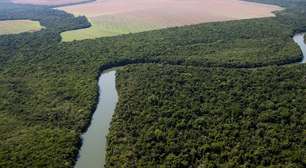 Lei aprovada em Mato Grosso quer converter Amazônia em Cerrado; entenda