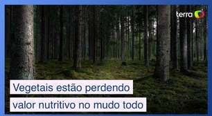 Por que vegetais estão perdendo valor nutritivo no mundo todo?