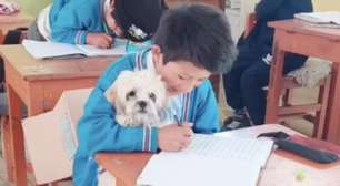 Como levar sua cachorrinha para a aula, ajudou um menino a se concentrar mais?