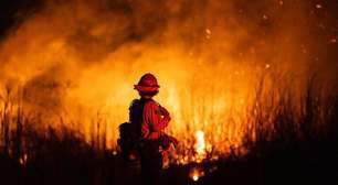 Incêndios florestais vão ficar cada vez mais intensos e prolongados, alerta cientista da ONU