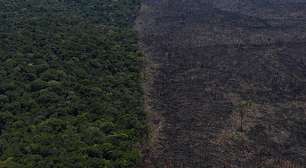 Lei no Mato Grosso reclassifica área da Amazônia em Cerrado