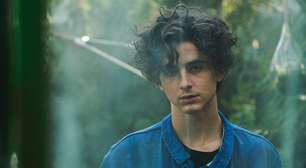 A Fortuna de Timothée Chalamet: O Brilho da Nova Geração de Hollywood