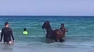 Homem leva cavalo para tomar banho de mar na Praia do Forte, em Cabo Frio; vídeo