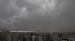 Chuva que caiu em SP é a 3ª maior em 64 anos e corresponde a quase metade do esperado para janeiro